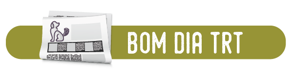 Descrição: cabeçalho Bom Dia TRT. Barra verde-oliva, texto em branco e um desenho de jornal no canto esquerdo, com um cachorro na capa.